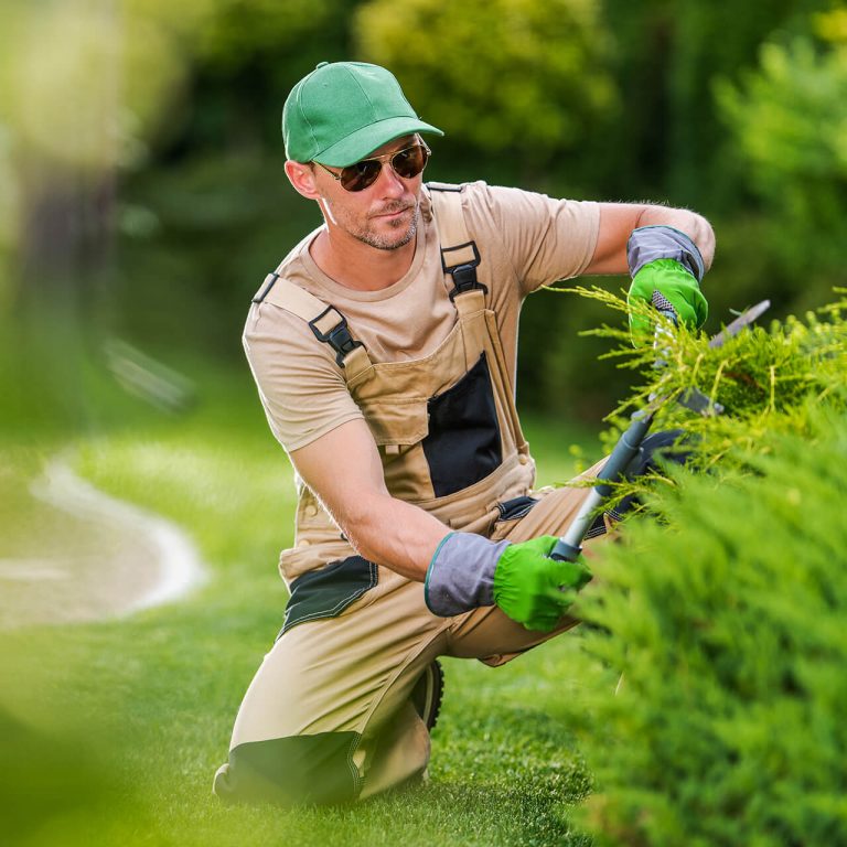 Gartenpflege